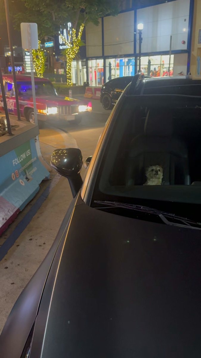 Tubi free hearse rides LA Halloween