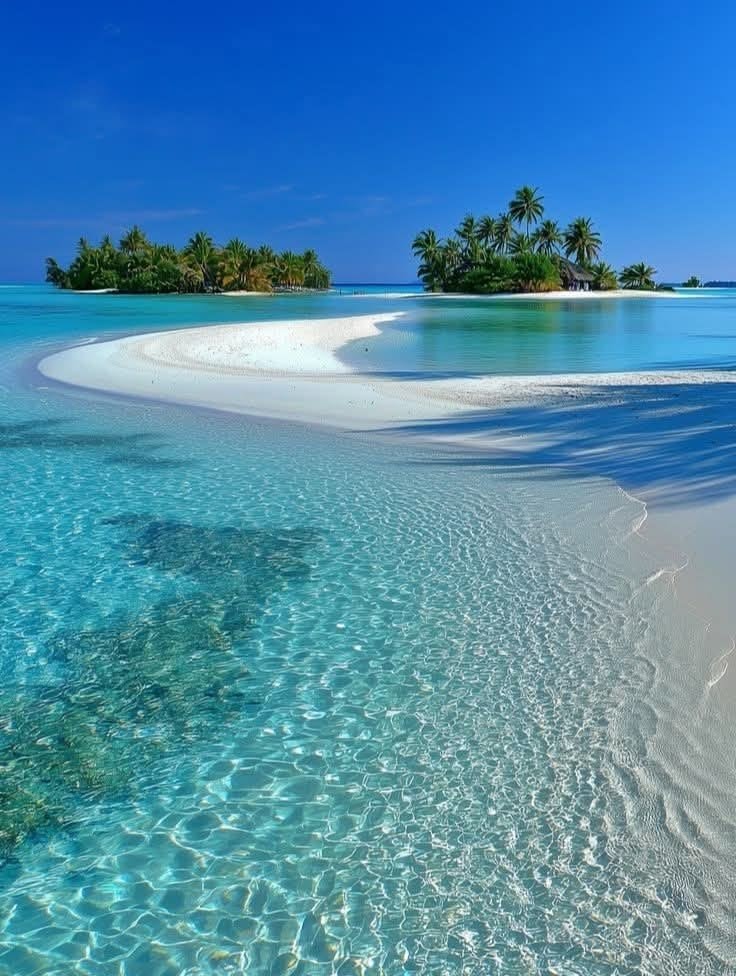 Maldives summer beach (photo 2 of 2)