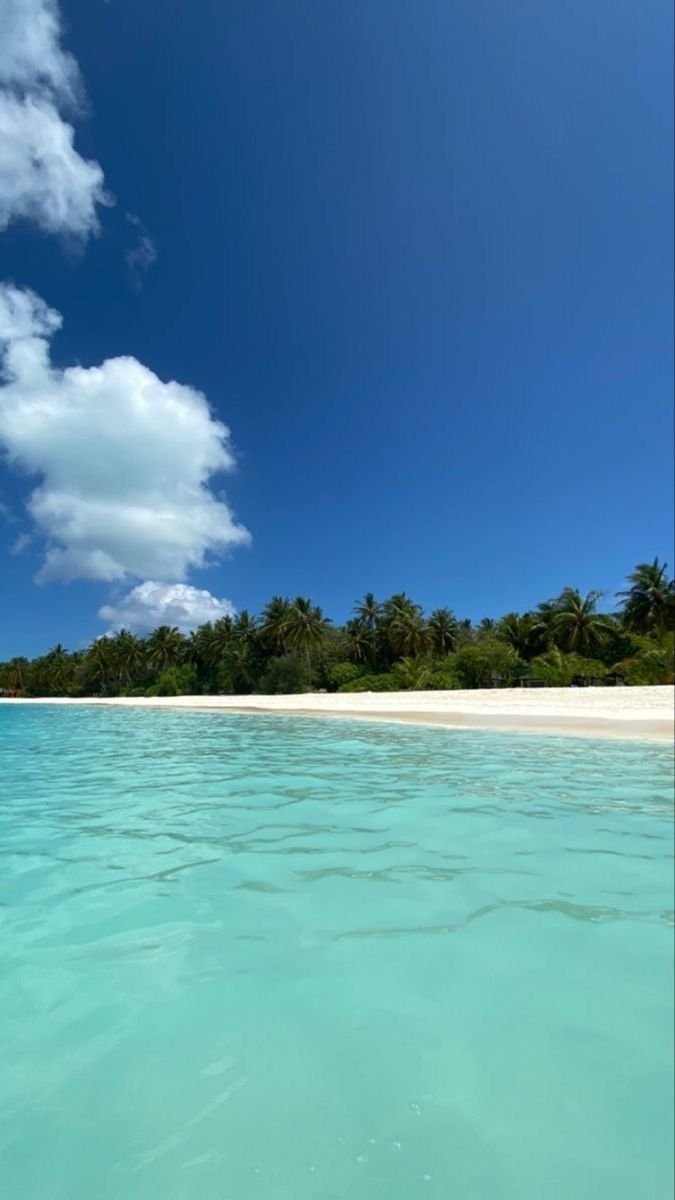 Maldives beach scene (photo 2 of 2)