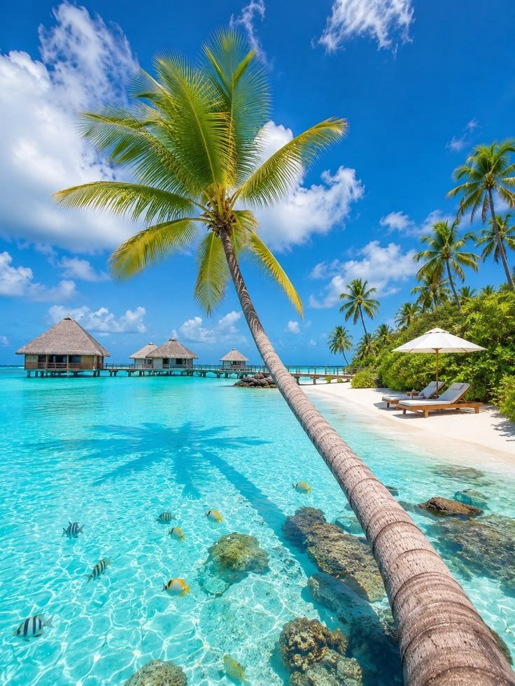 Maldives beach scene
