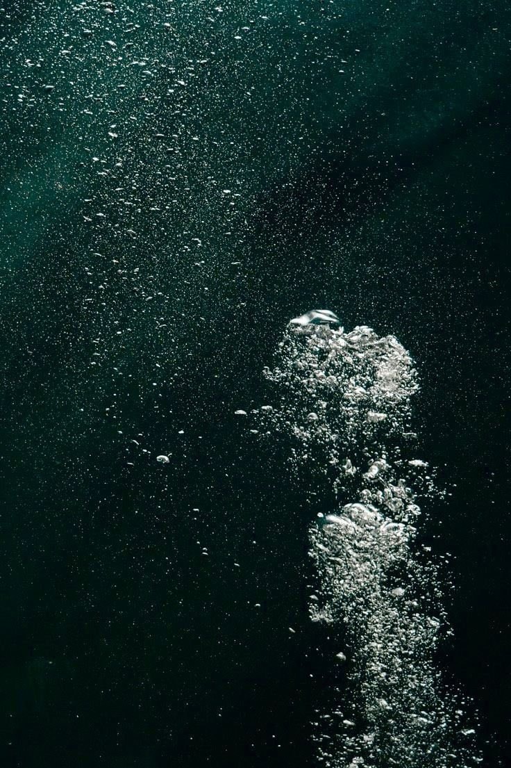 Oxygen produced in darkness discovery (photo 2 of 2)