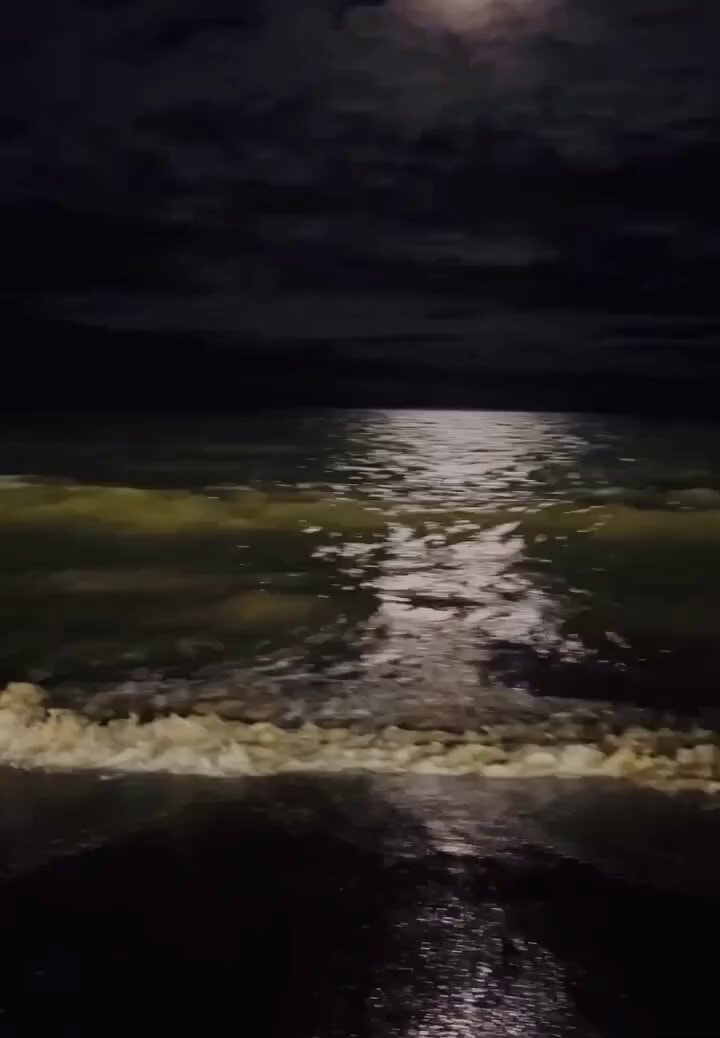 Moonlight ocean scene
