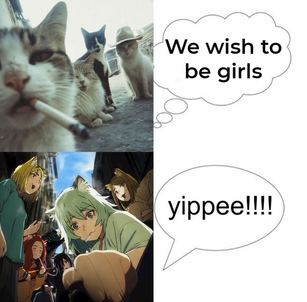 We wish to be girls yippee meme