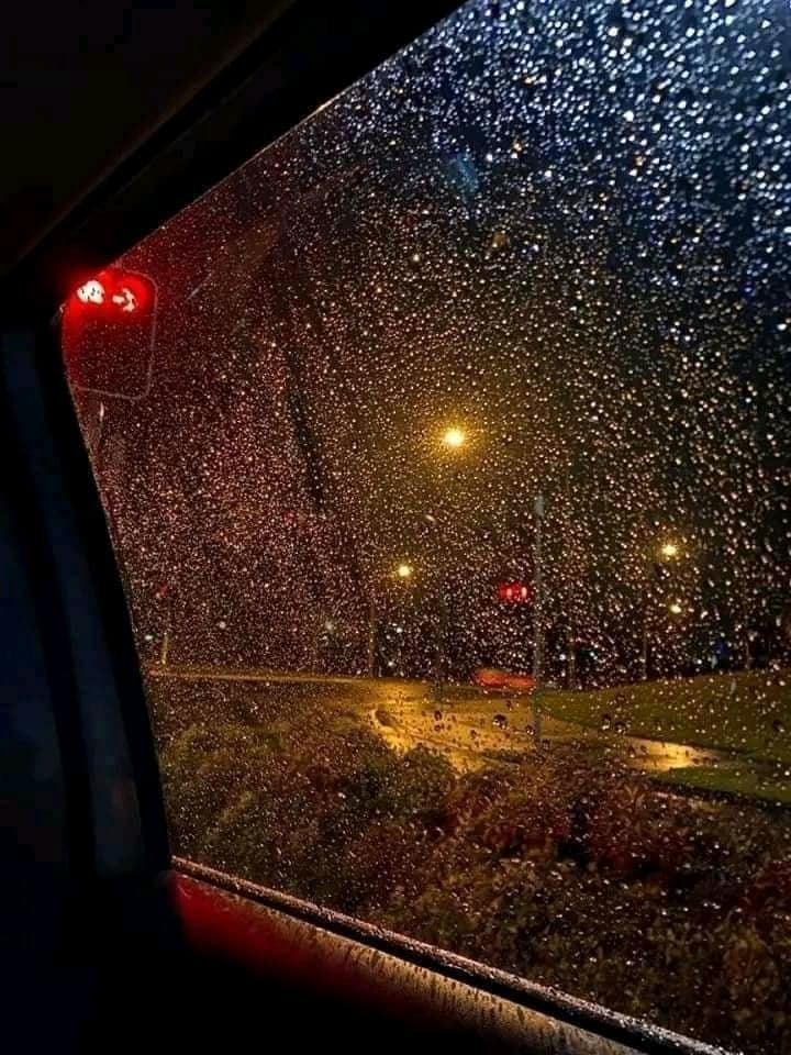 rainy night street scene (photo 4 of 4)