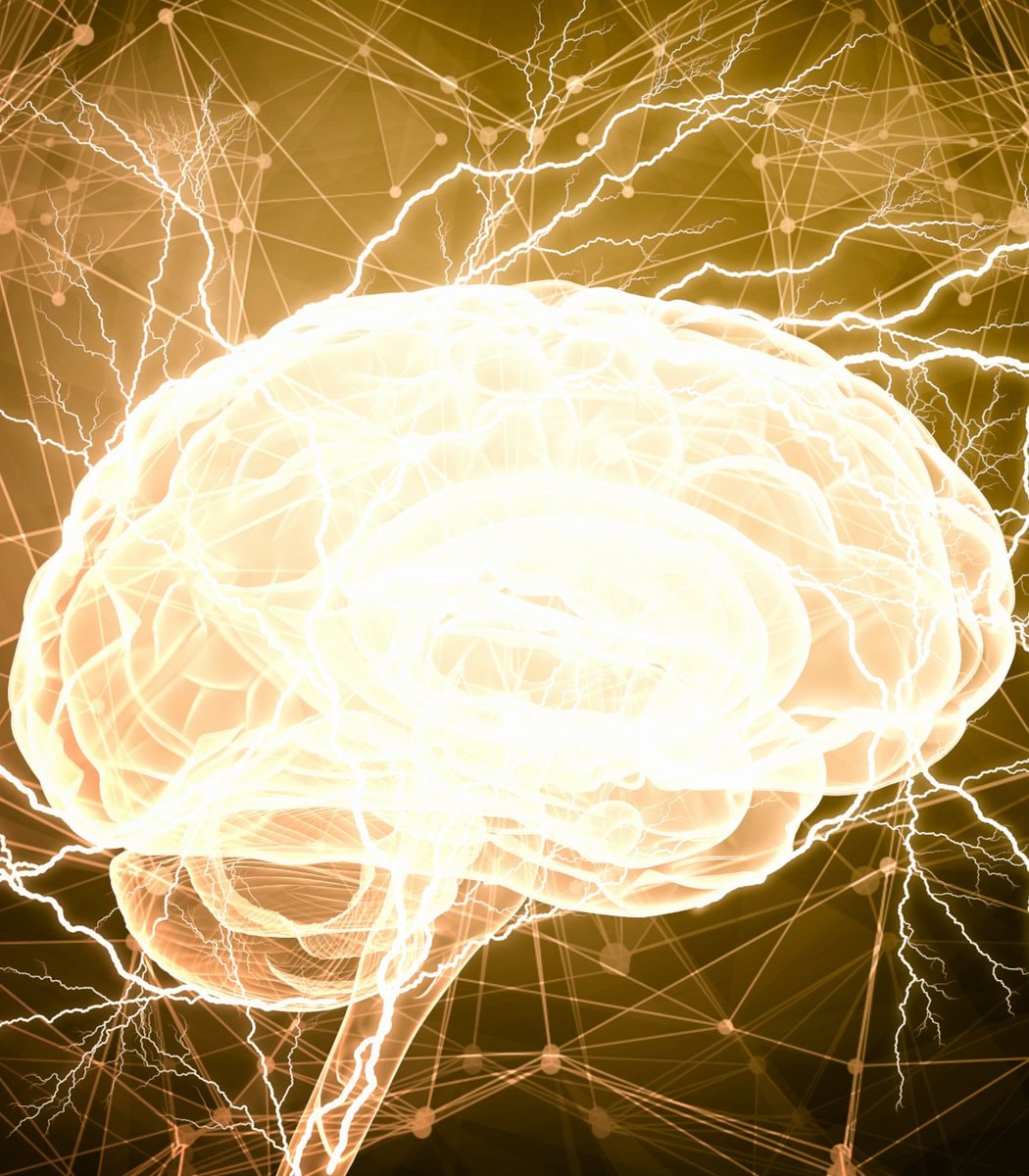 First human brain cell data center