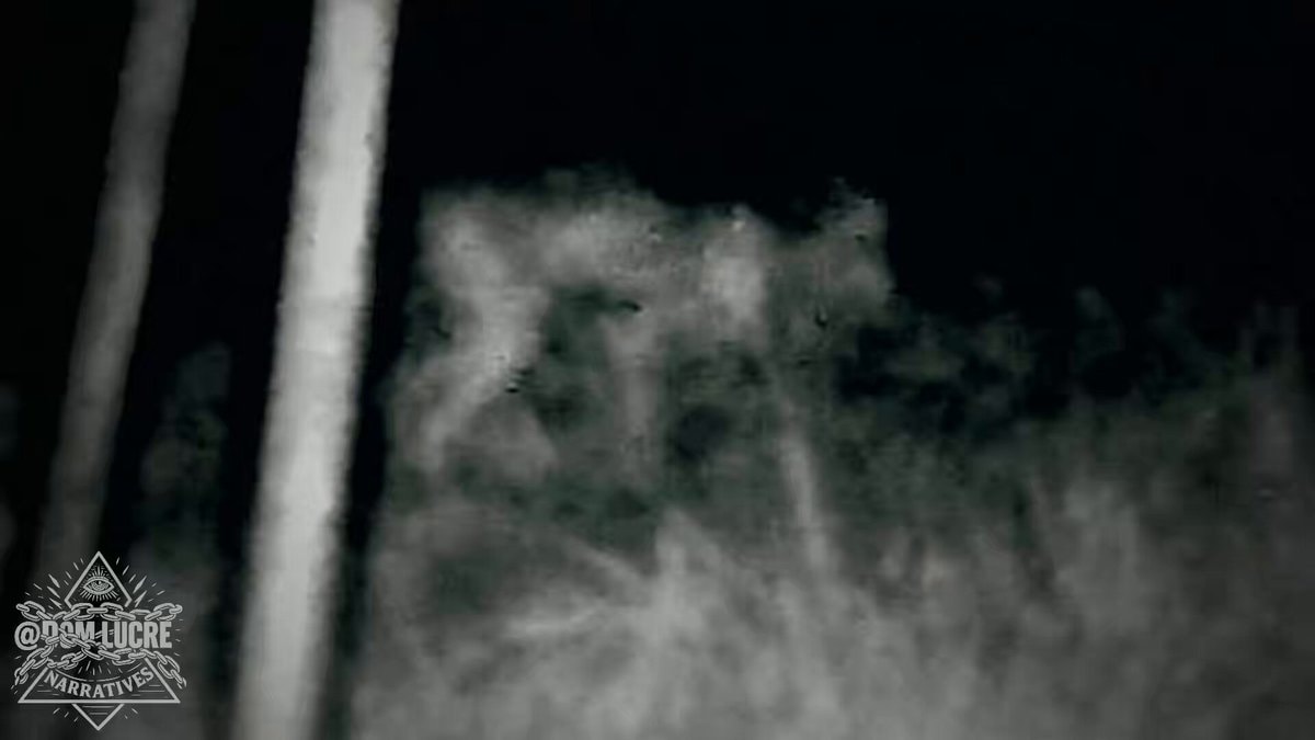 Pentagon UFO files on Skinwalker Ranch