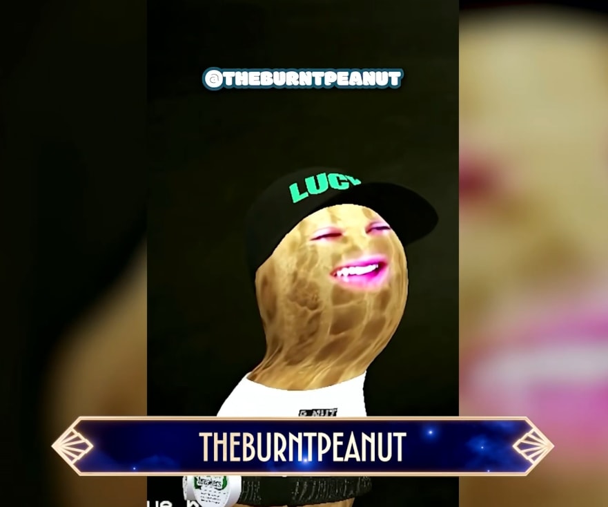 TheBurntPeanut Best VTuber nomination