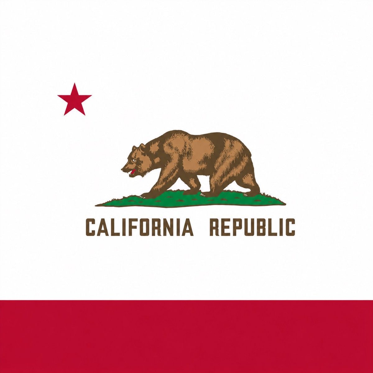 Elon Musk California election fraud claim (photo 2 of 2)