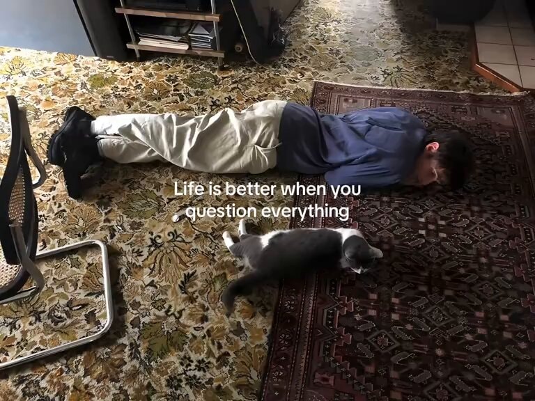 cat and person on rugs