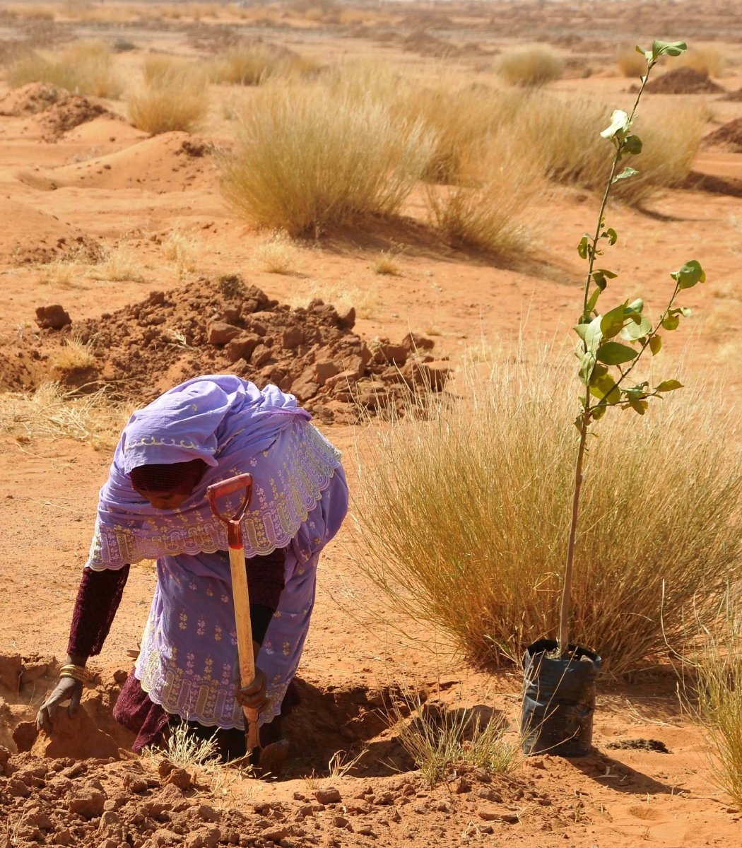 Great Green Wall Sahara water returns