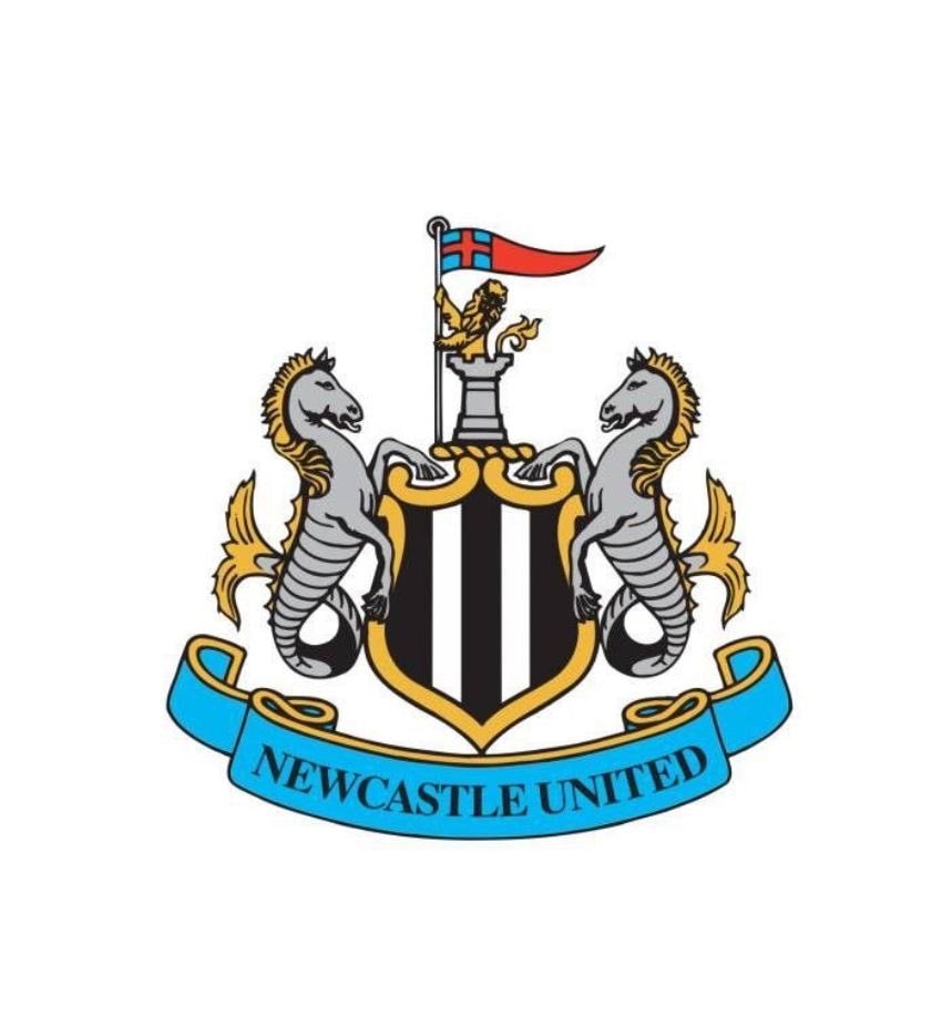 Newcastle Carabao Cup exit to Everton