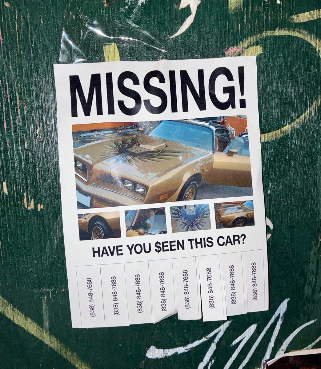 Kesha missing car posters (photo 2 of 2)