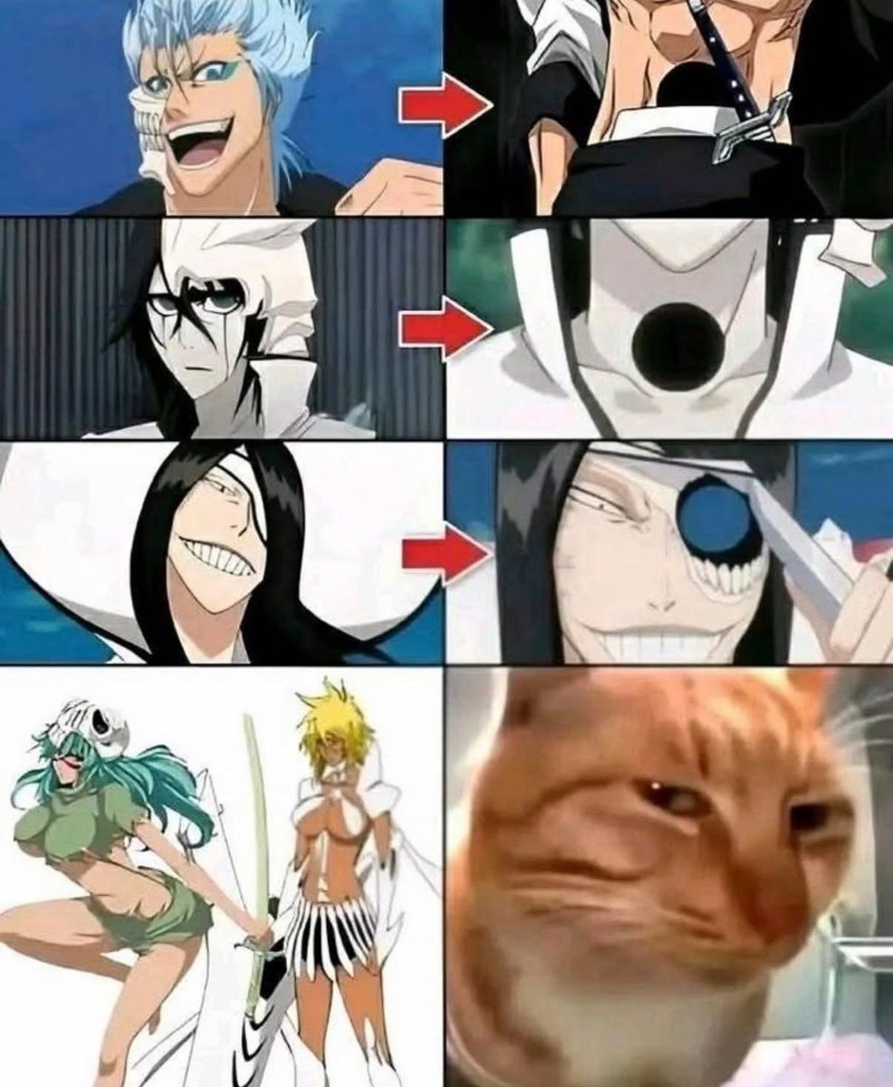 Bleach characters and skeptical ginger cat