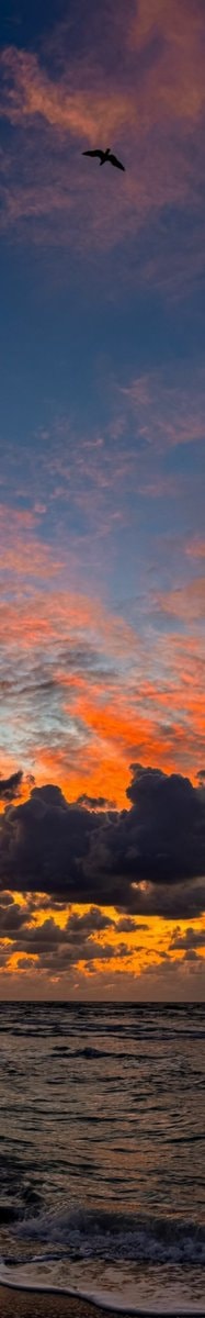 sunset over the ocean