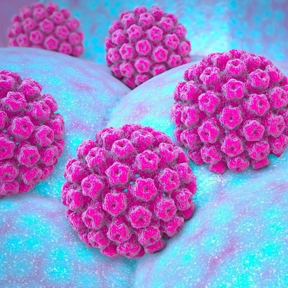 Eva Ramon HPV elimination (photo 2 of 2)