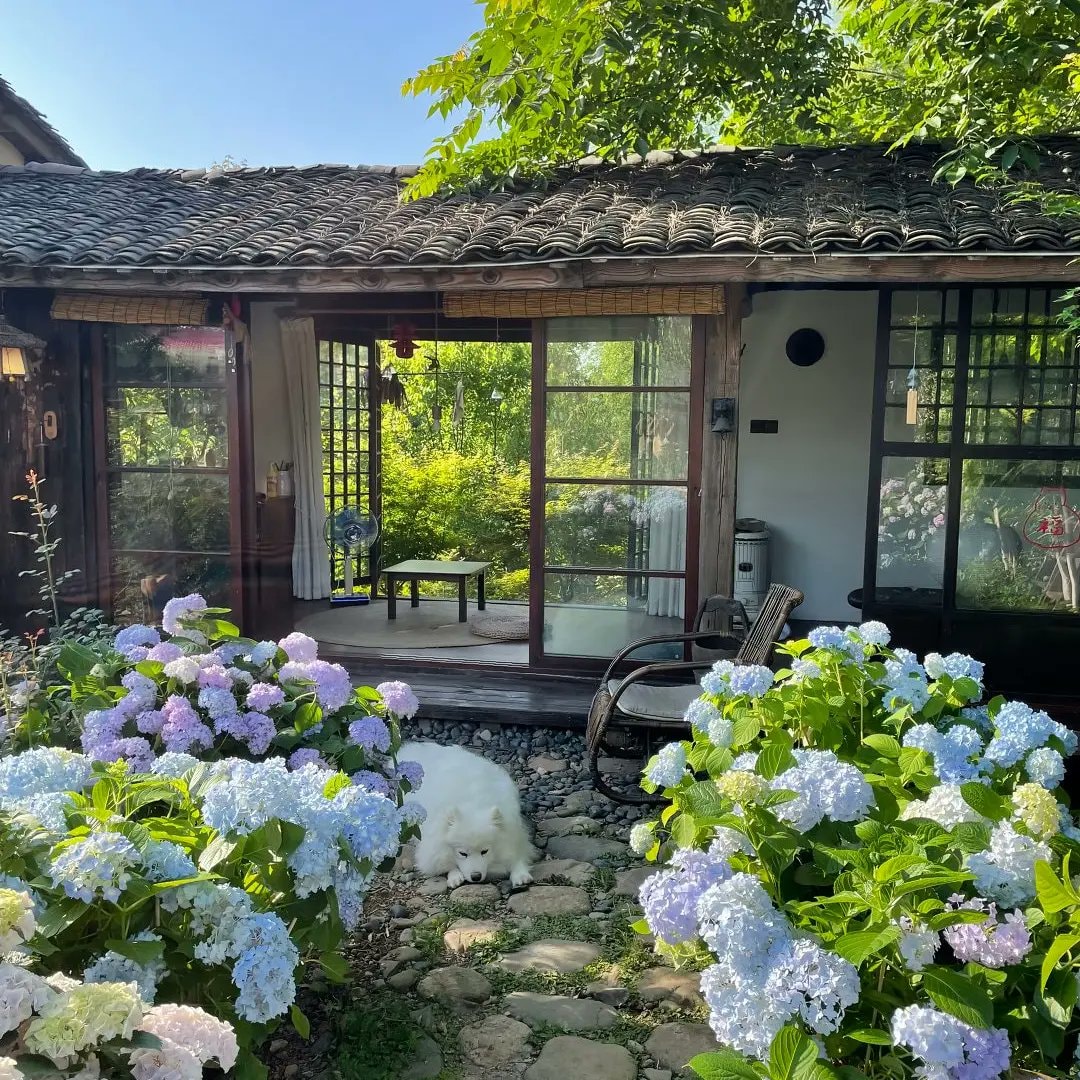 Cozy life nature scene