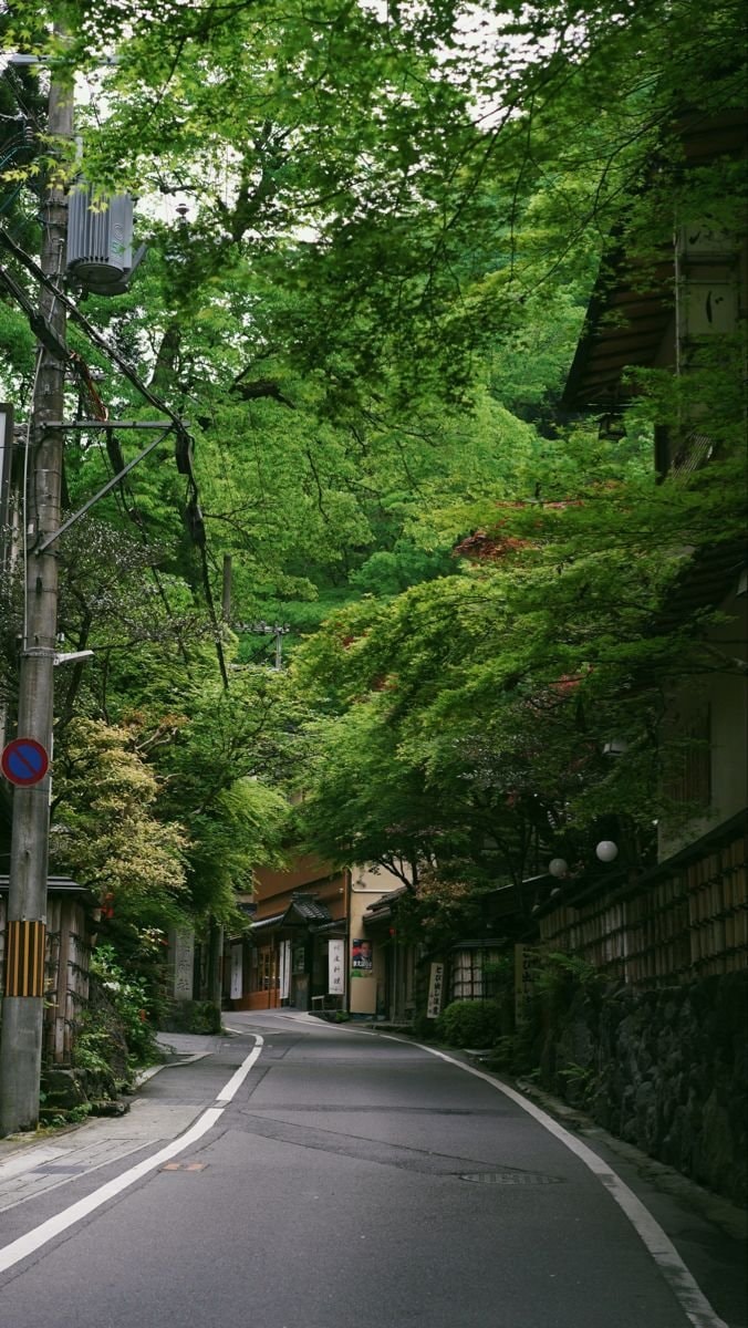 Kyoto Japan scenic road (photo 3 of 4)