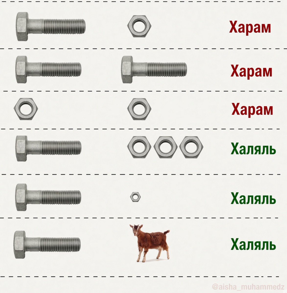 rows of bolts and nuts