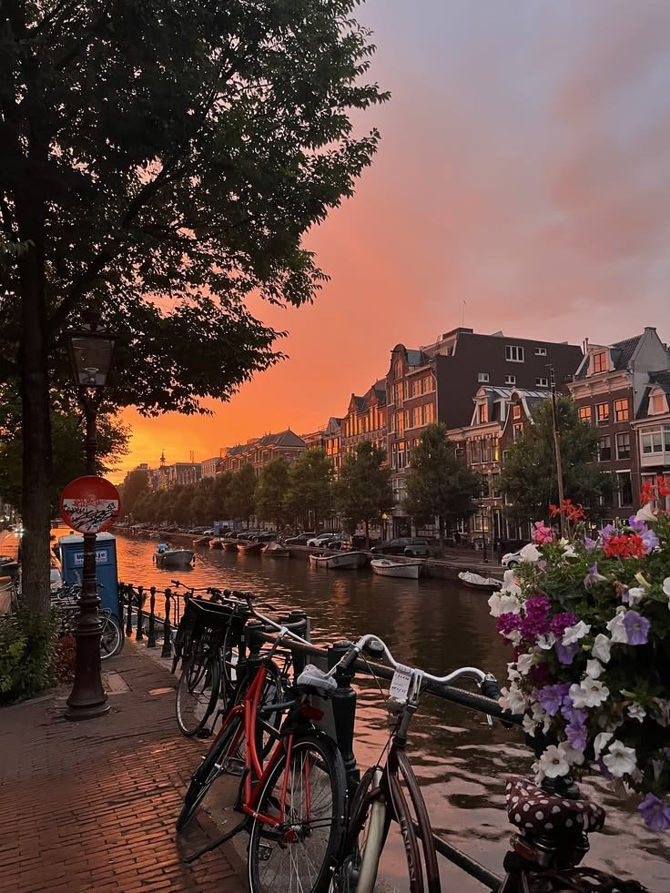 Amsterdam canal bridge (photo 4 of 4)