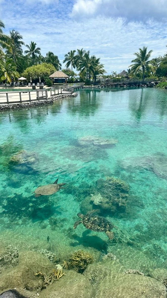 Bahamas summer beauty