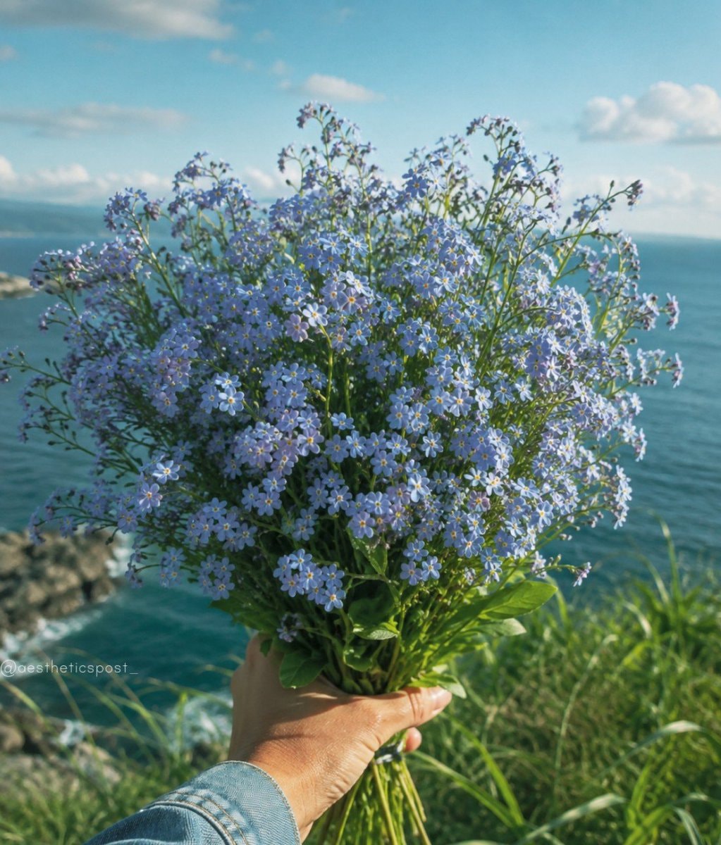 Forget-me-not flowers (photo 2 of 2)