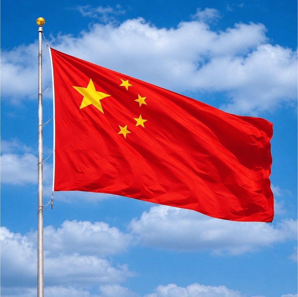 Elon Musk X Chinese bot farm (photo 2 of 2)