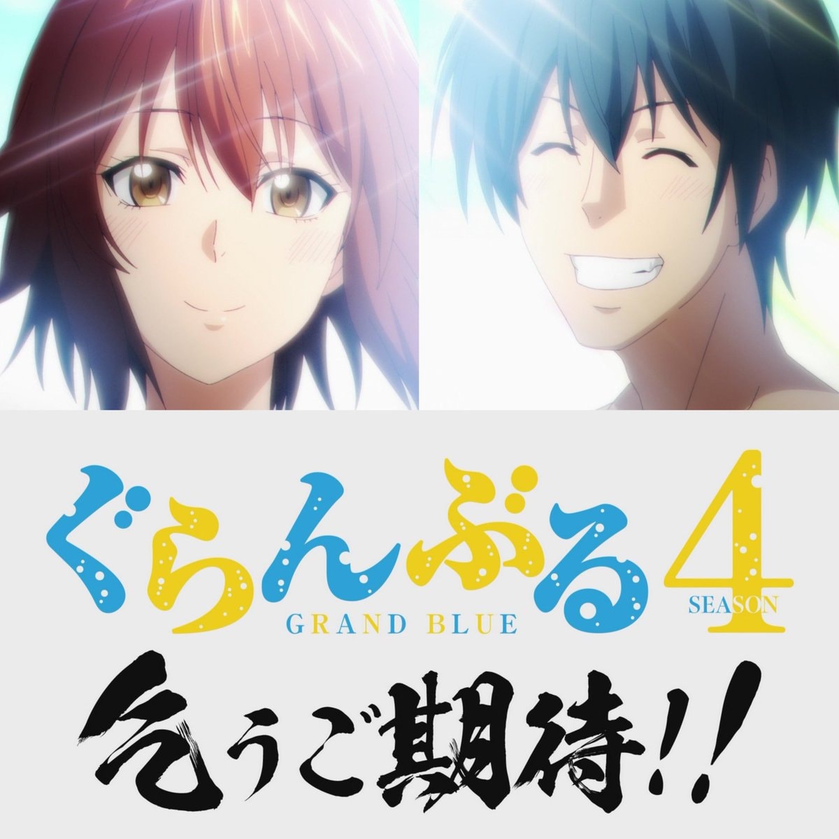 Grand Blue Dreaming Season 4 announcement Grand Blue Dreaming Season 4 announcement