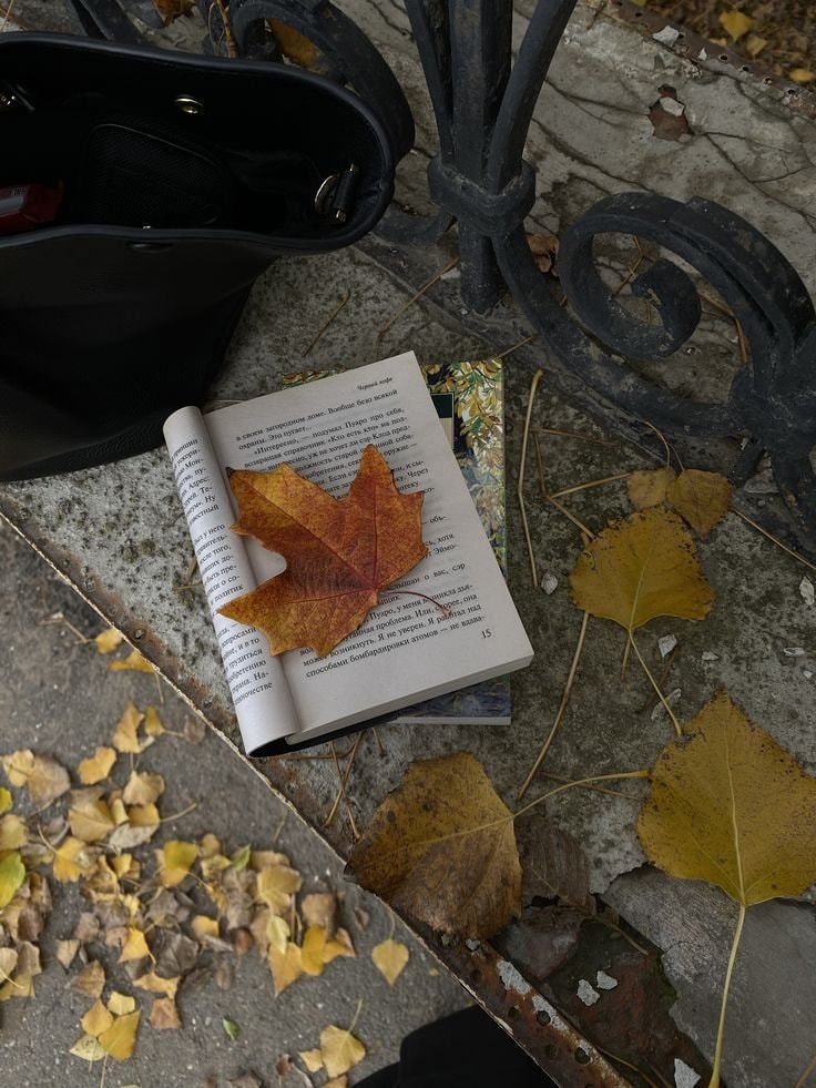 park bench still life (photo 2 of 4)