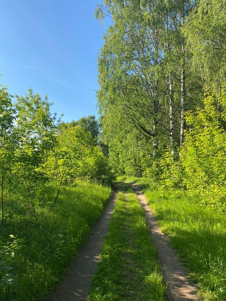 Serene mountain trail (photo 3 of 4)