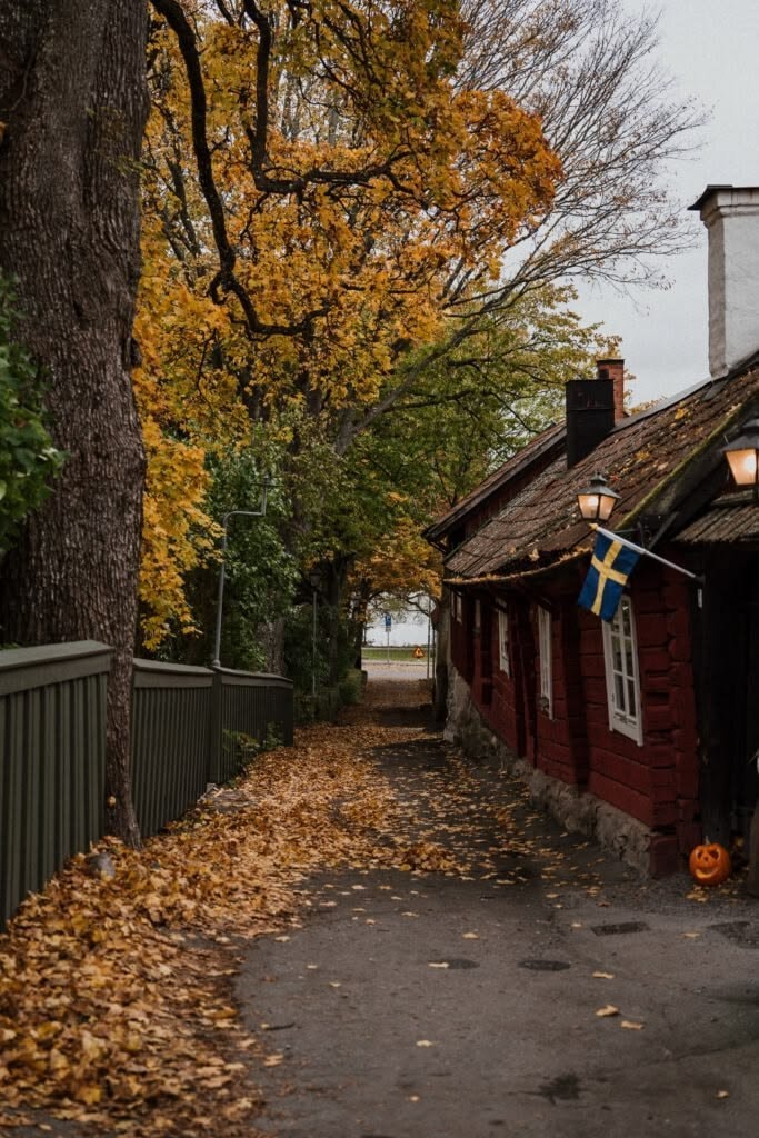 Autumn in Stockholm Sweden (photo 4 of 4)