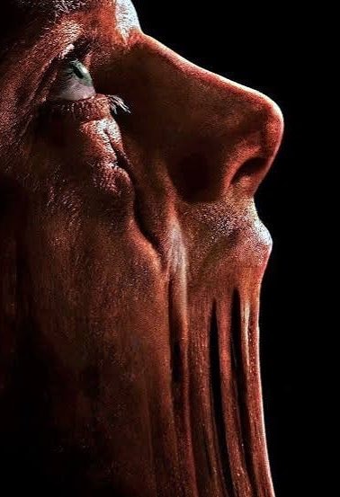 CLAYFACE movie release update