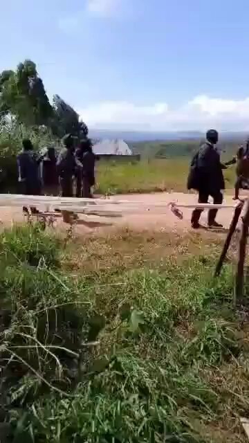 Wazalendo losing momentum on the battlefield