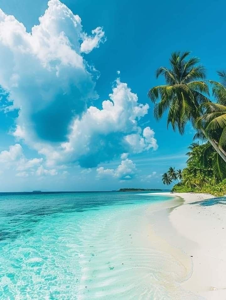Maldives beach photo (photo 2 of 2)