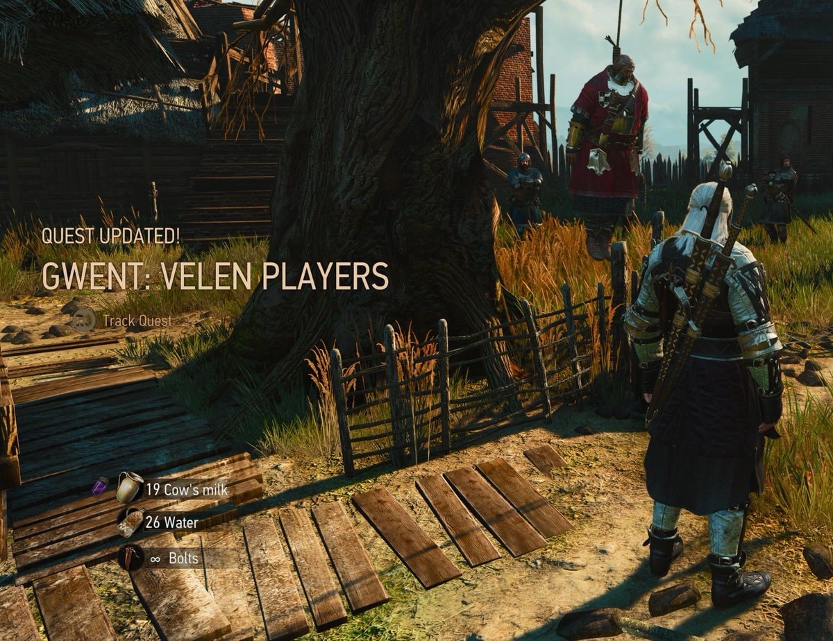 The Witcher 3 Gwent: Velen Players quest