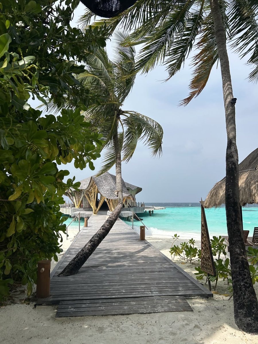 tropical escape wish