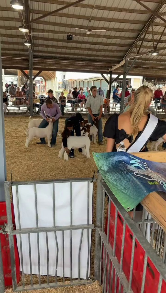 goat show moment