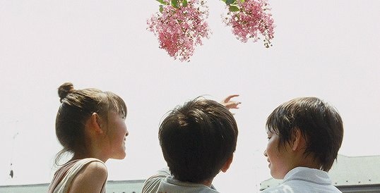Still Walking Hirokazu Koreeda