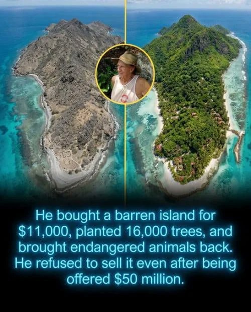 man in circular frame on island