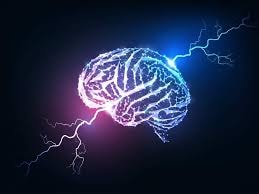 brain consciousness matrix exit (photo 2 of 2)