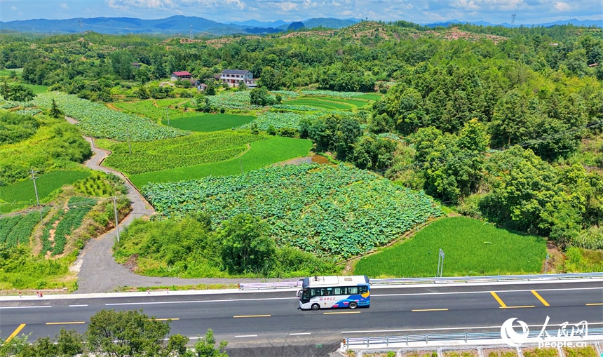 Jiangxi G206 upgrade (photo 2 of 4) Jiangxi G206 upgrade (photo 2 of 4)