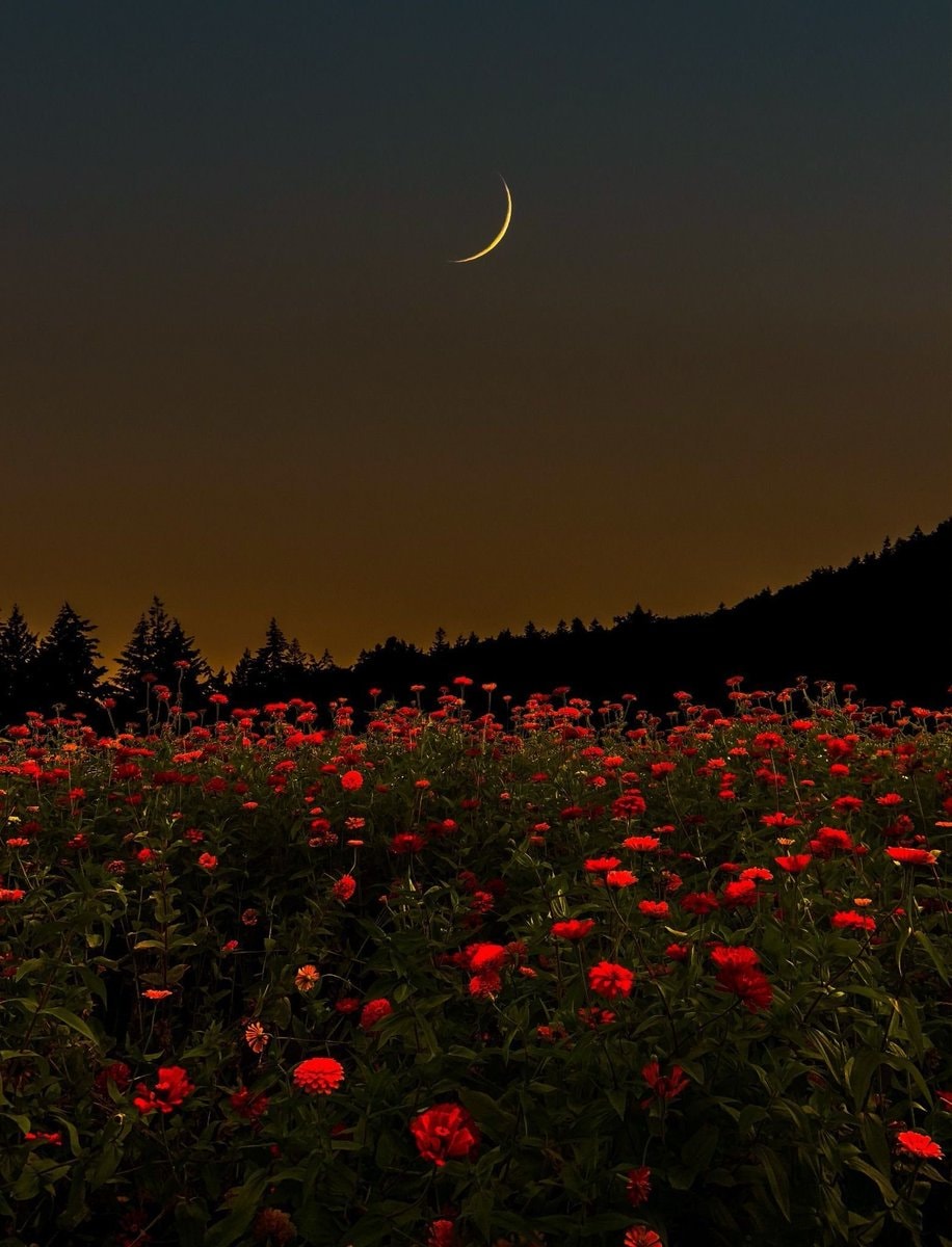 Crescent Moon