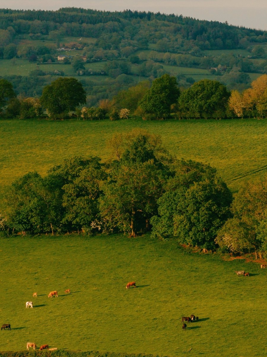 Countryside life stone cottage (photo 2 of 4)
