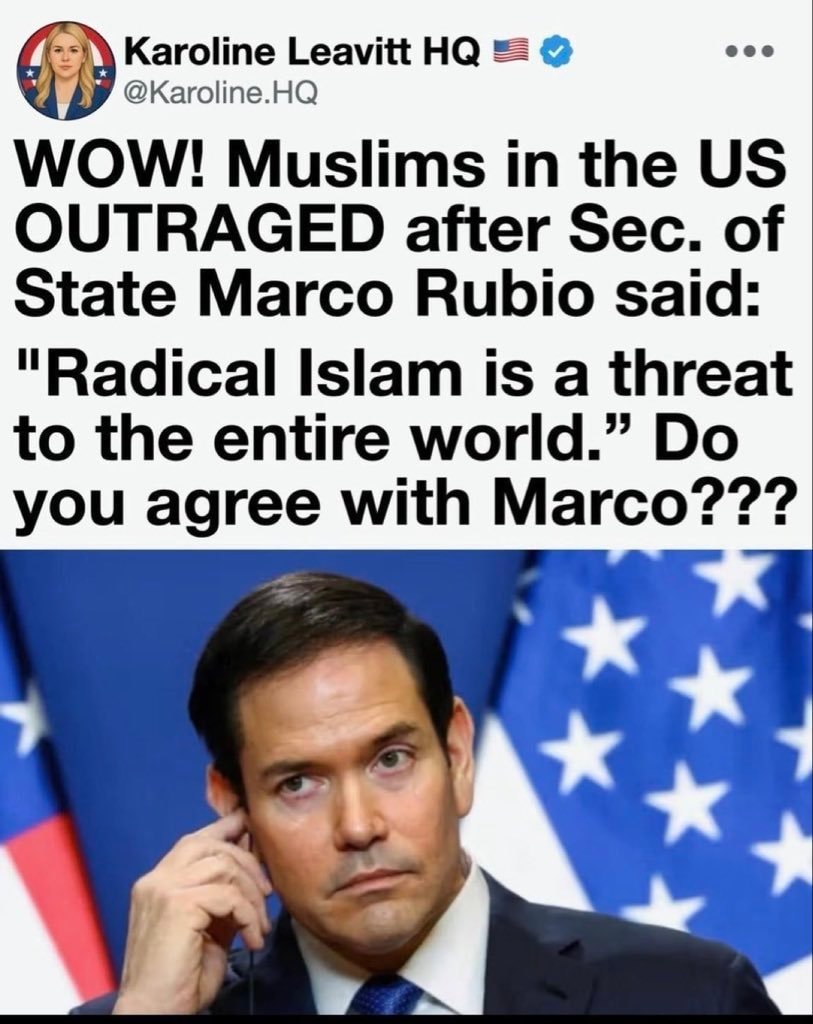 Marco Rubio poll