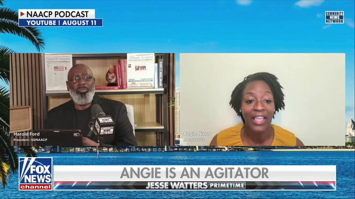 Angie Nixon ICE abolition debate