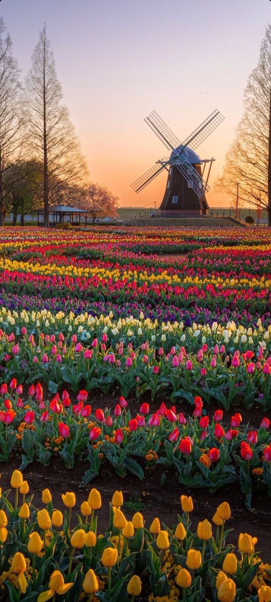 Holland landscape (photo 3 of 4)