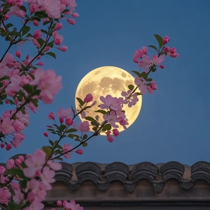 Full moon with crepe myrtle blossoms (photo 2 of 2)