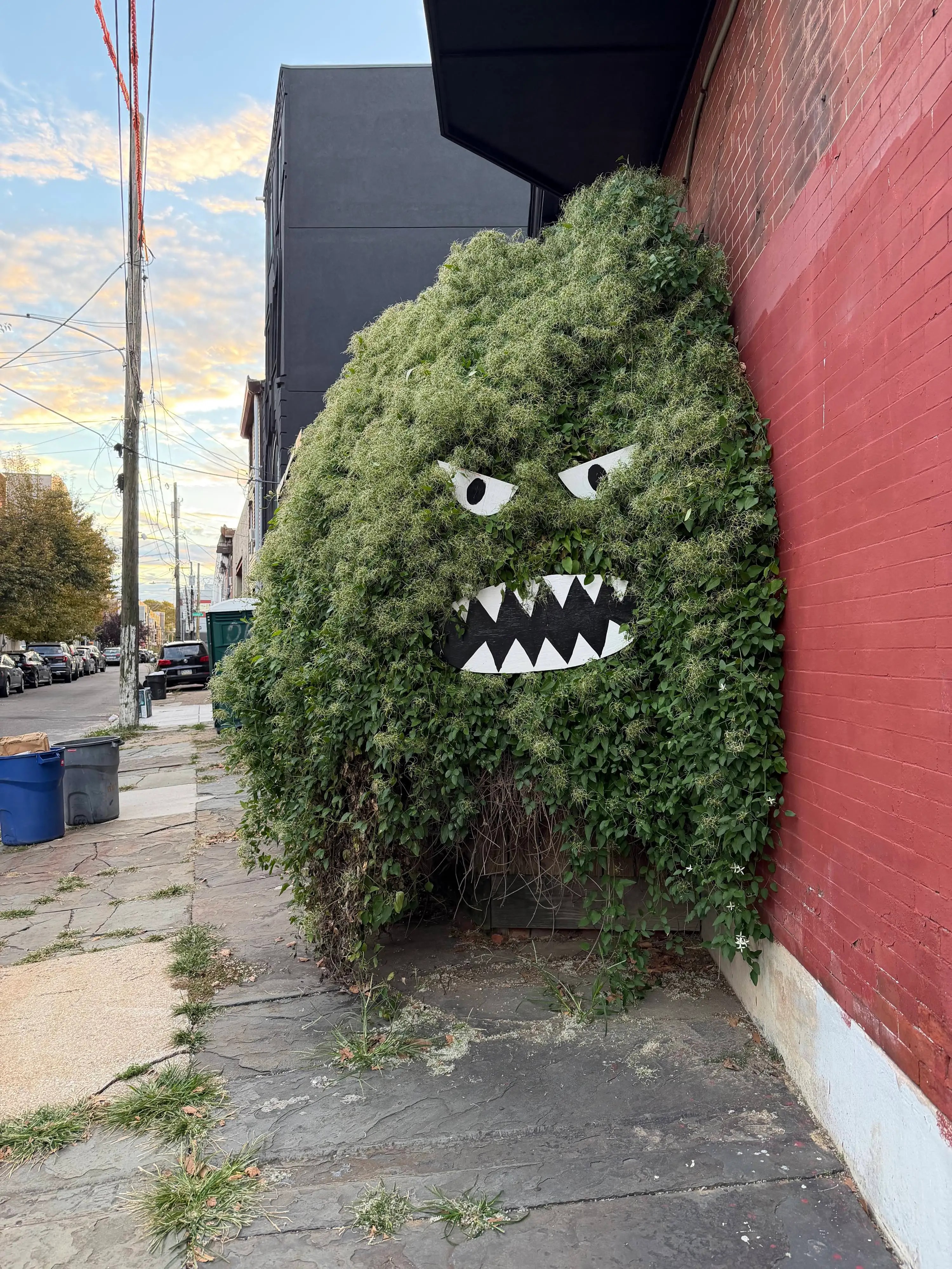 monster bush on sidewalk