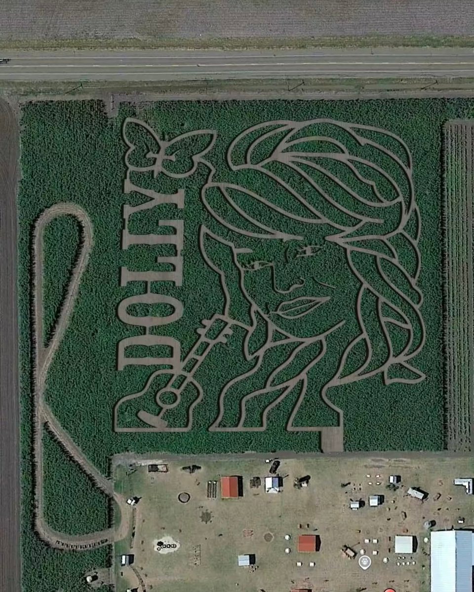 Dolly Parton corn maze at Rockin' K Farms (photo 2 of 2)