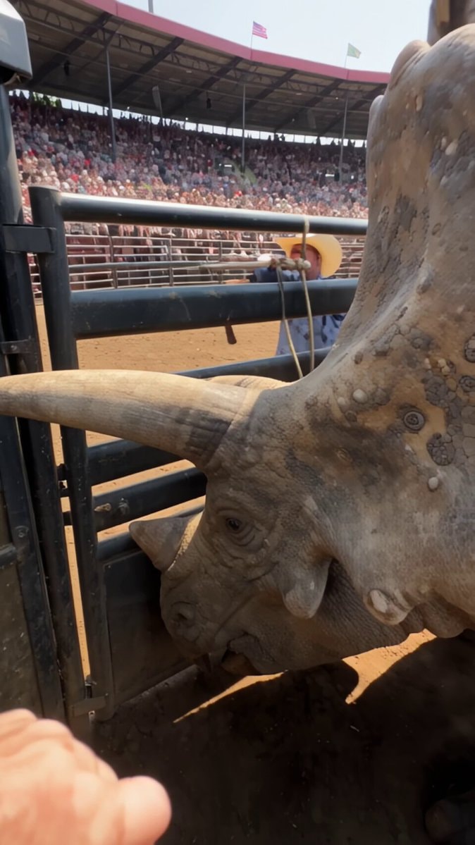 rhinoceros rodeo 65 million years ago
