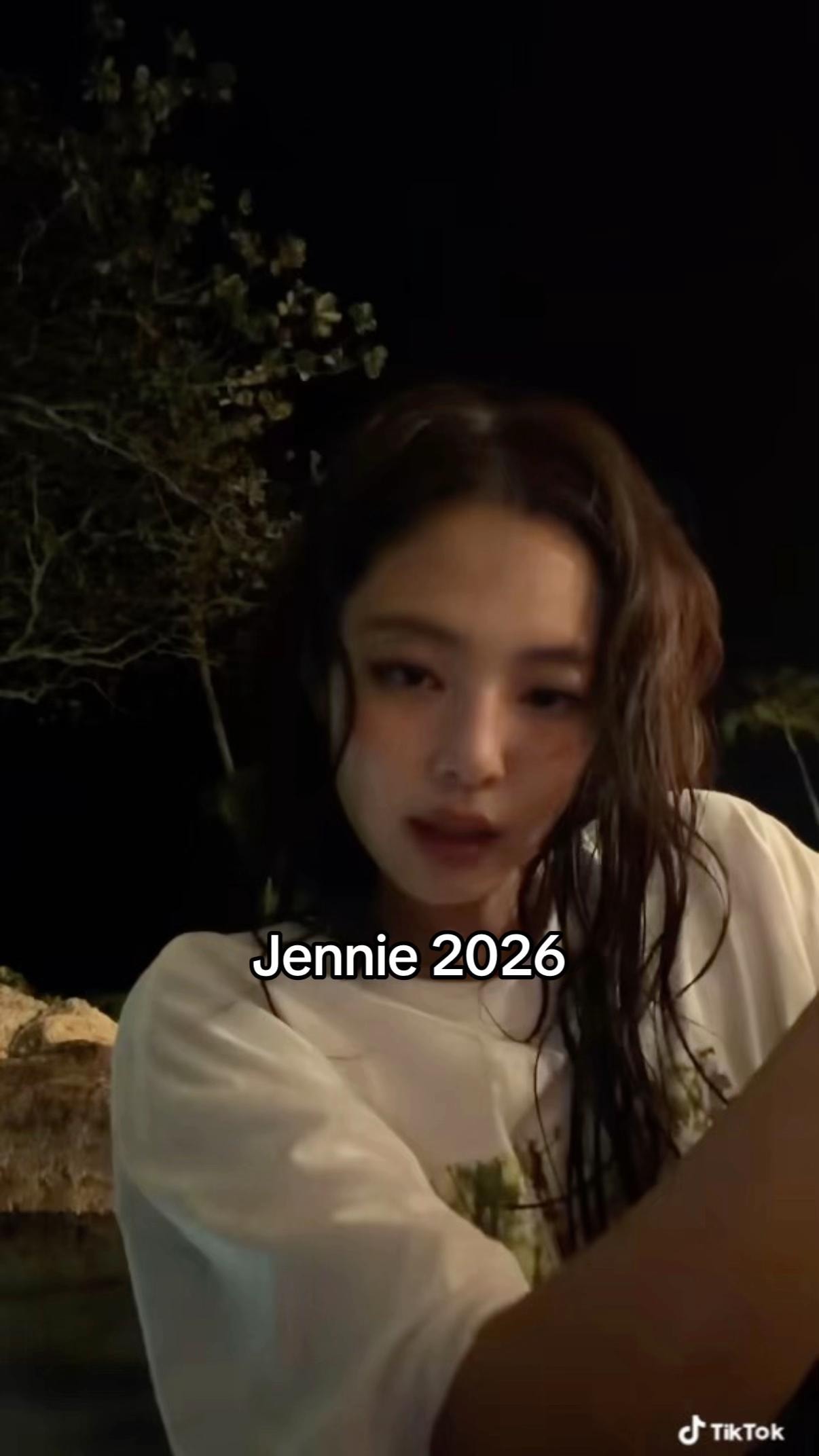 Jennie Kim 2024 cutout top (photo 3 of 3)